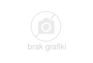 OnePlus 9 8/128GB Niebieski