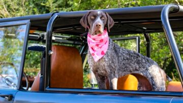 Poznańska drukarnia – kompleksowe rozwiązania dla Twojego biznesu